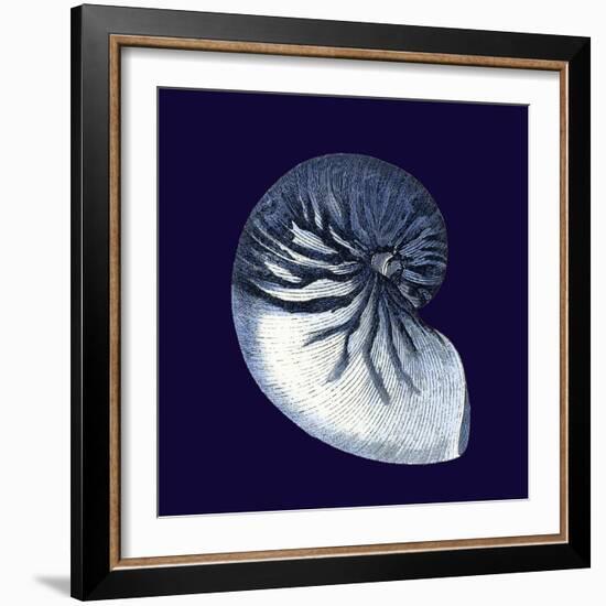 Indigo Shells VII-Vision Studio-Framed Art Print