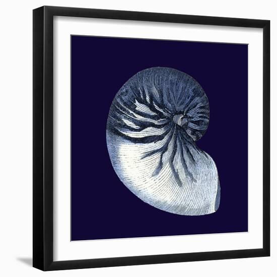 Indigo Shells VII-Vision Studio-Framed Art Print