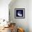 Indigo Shells VII-Vision Studio-Framed Art Print displayed on a wall