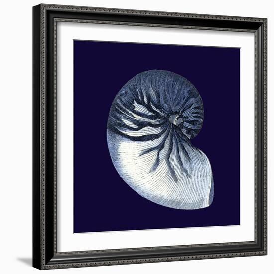 Indigo Shells VII-Vision Studio-Framed Art Print