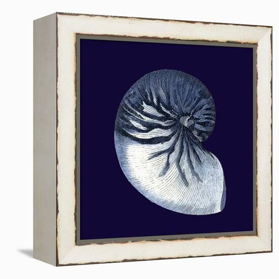 Indigo Shells VII-Vision Studio-Framed Stretched Canvas