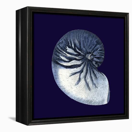 Indigo Shells VII-Vision Studio-Framed Stretched Canvas