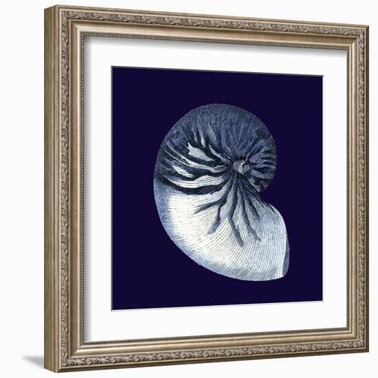 Indigo Shells VII-Vision Studio-Framed Art Print