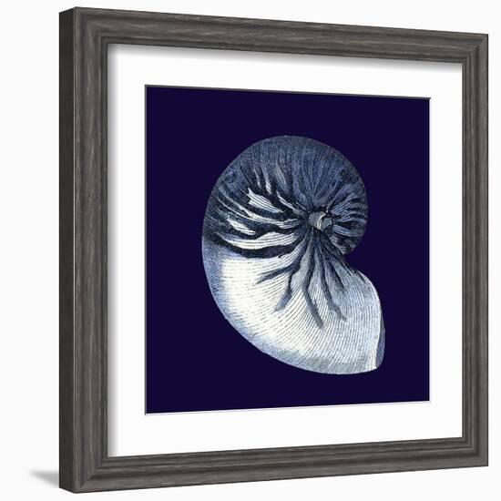 Indigo Shells VII-Vision Studio-Framed Art Print