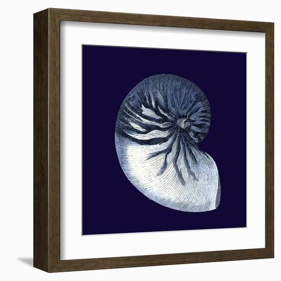 Indigo Shells VII-Vision Studio-Framed Art Print