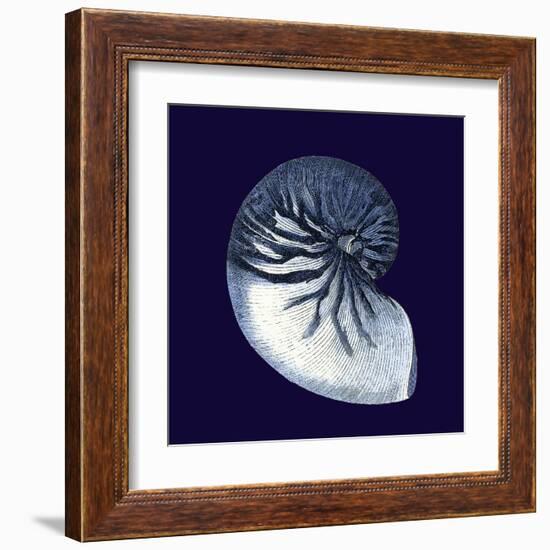 Indigo Shells VII-Vision Studio-Framed Art Print