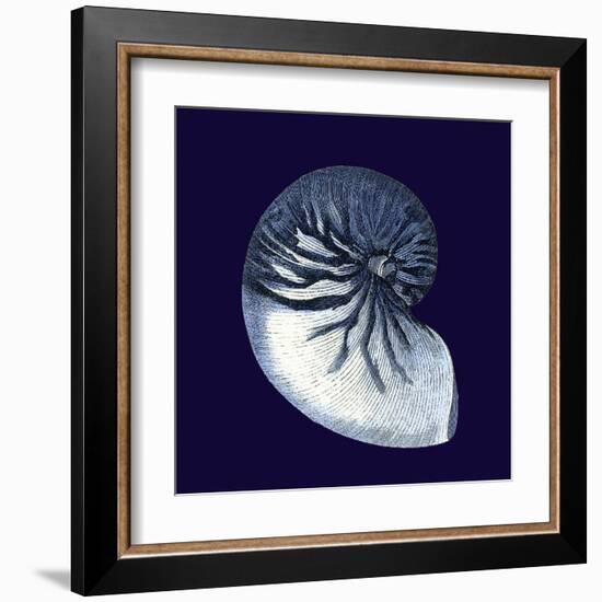 Indigo Shells VII-Vision Studio-Framed Art Print