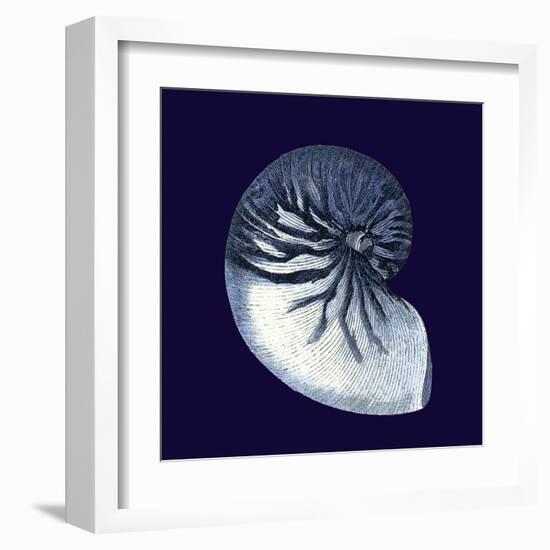 Indigo Shells VII-Vision Studio-Framed Art Print