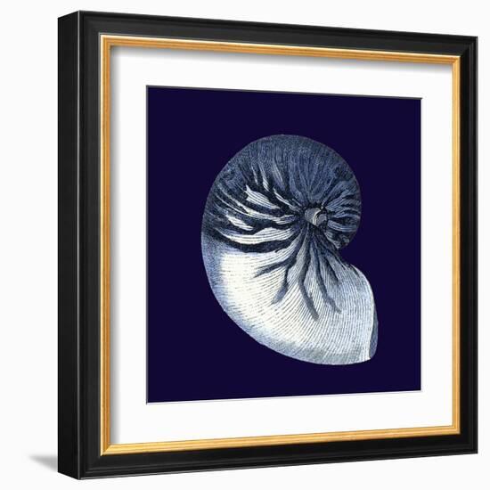 Indigo Shells VII-Vision Studio-Framed Art Print