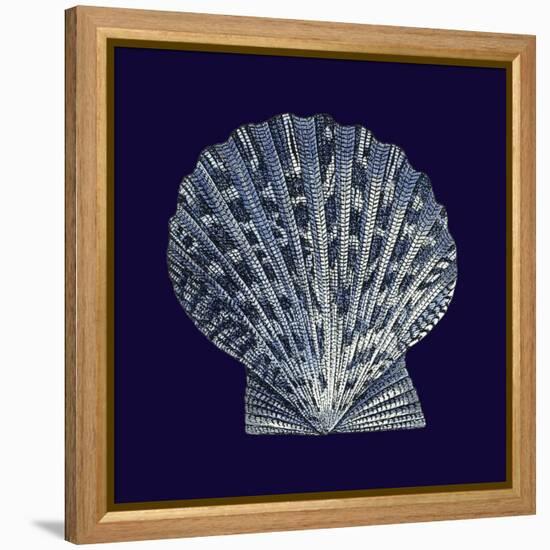 Indigo Shells VIII-Vision Studio-Framed Stretched Canvas