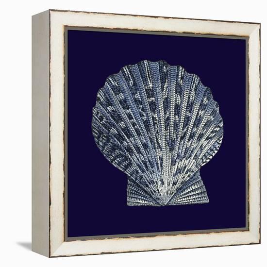 Indigo Shells VIII-Vision Studio-Framed Stretched Canvas