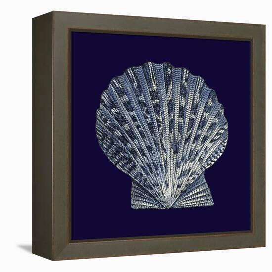 Indigo Shells VIII-Vision Studio-Framed Stretched Canvas