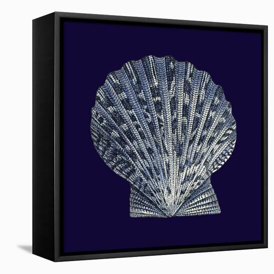 Indigo Shells VIII-Vision Studio-Framed Stretched Canvas