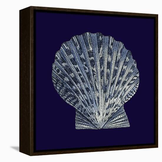 Indigo Shells VIII-Vision Studio-Framed Stretched Canvas