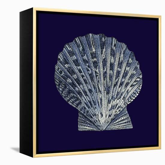 Indigo Shells VIII-Vision Studio-Framed Stretched Canvas