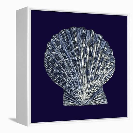 Indigo Shells VIII-Vision Studio-Framed Stretched Canvas