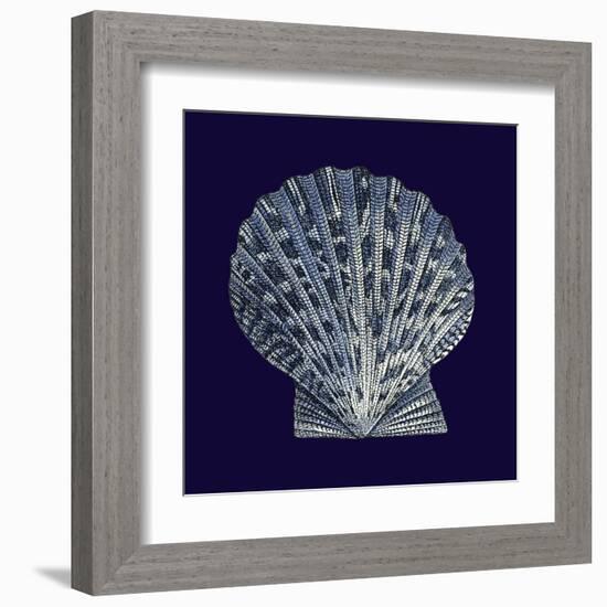 Indigo Shells VIII-Vision Studio-Framed Art Print