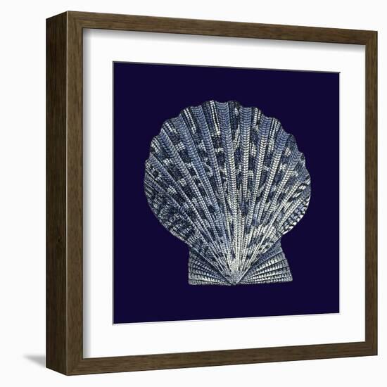 Indigo Shells VIII-Vision Studio-Framed Art Print