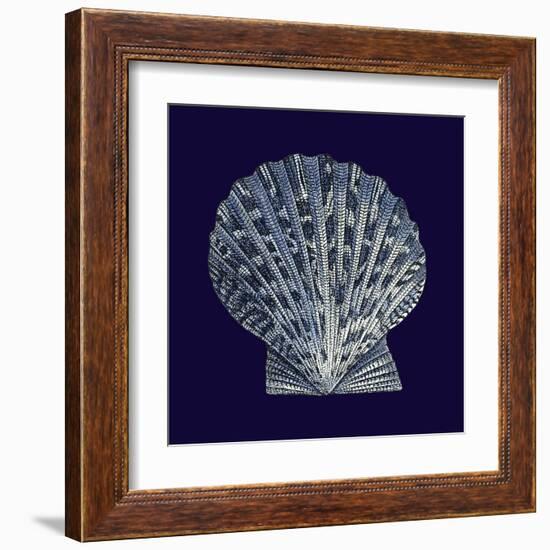 Indigo Shells VIII-Vision Studio-Framed Art Print