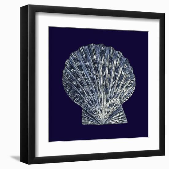 Indigo Shells VIII-Vision Studio-Framed Art Print