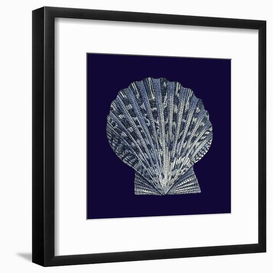 Indigo Shells VIII-Vision Studio-Framed Art Print