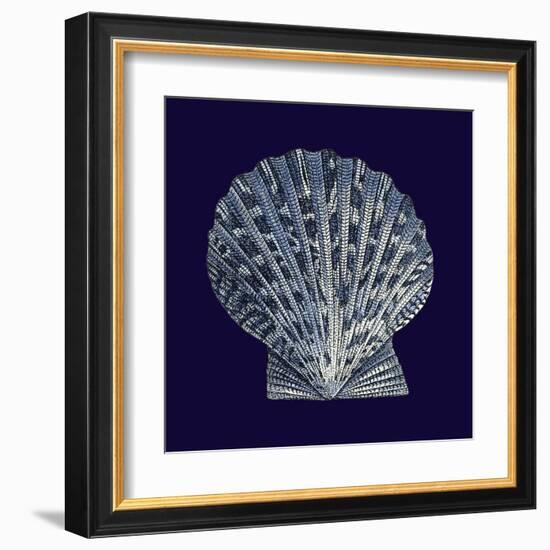 Indigo Shells VIII-Vision Studio-Framed Art Print