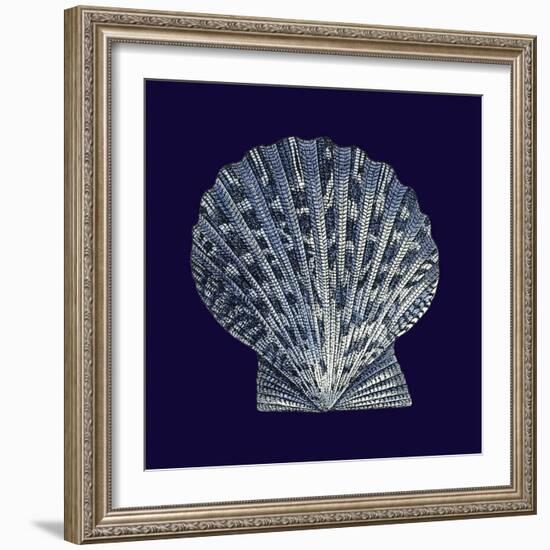 Indigo Shells VIII-Vision Studio-Framed Art Print