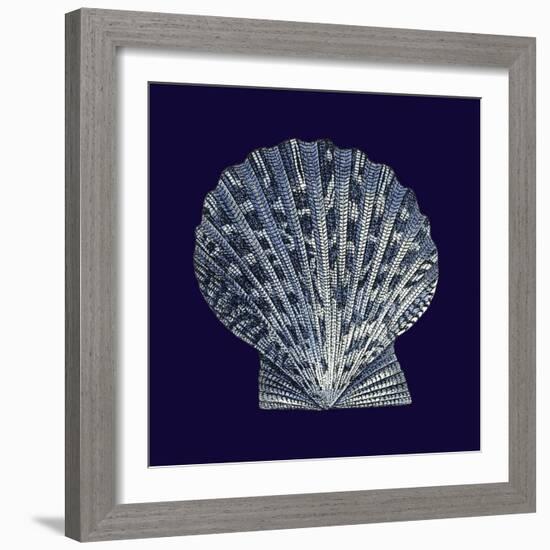 Indigo Shells VIII-Vision Studio-Framed Art Print