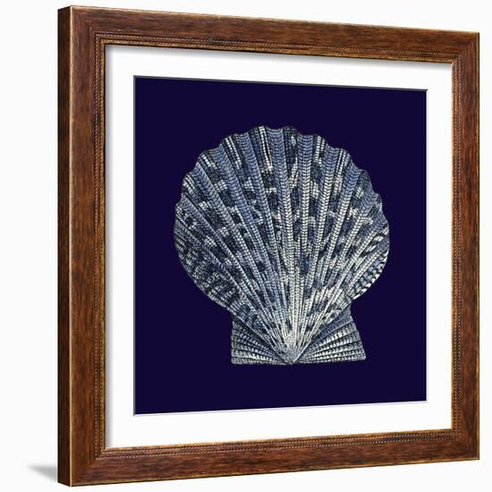 Indigo Shells VIII-Vision Studio-Framed Art Print