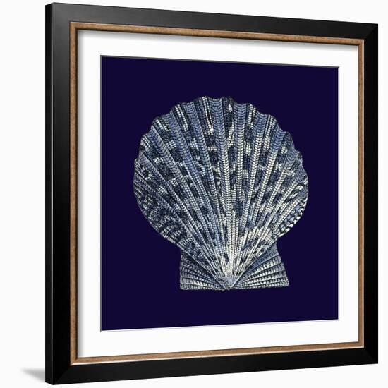 Indigo Shells VIII-Vision Studio-Framed Art Print