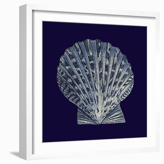 Indigo Shells VIII-Vision Studio-Framed Art Print