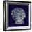 Indigo Shells VIII-Vision Studio-Framed Art Print