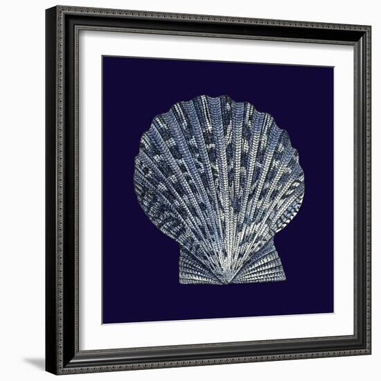 Indigo Shells VIII-Vision Studio-Framed Art Print