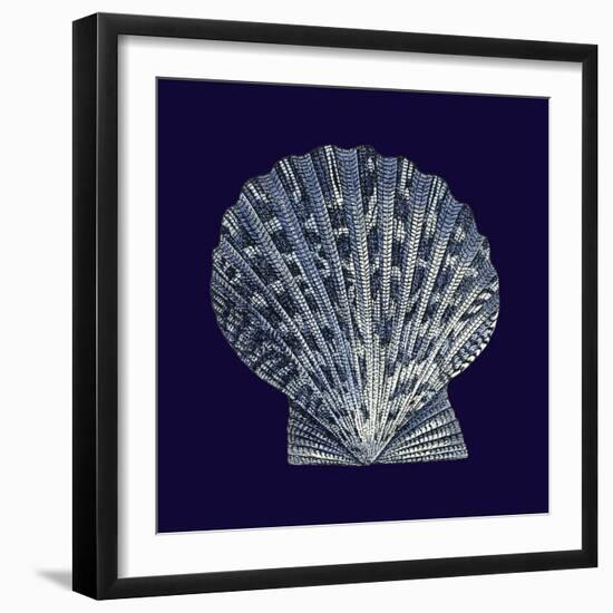 Indigo Shells VIII-Vision Studio-Framed Premium Giclee Print