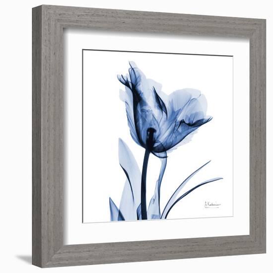 Indigo Softened Tulip-Albert Koetsier-Framed Art Print