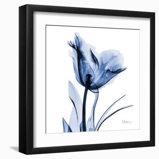 Indigo Softened Tulip-Albert Koetsier-Framed Art Print