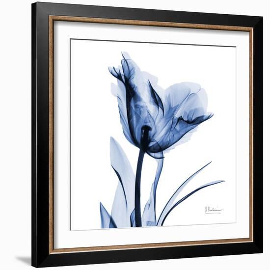 Indigo Softened Tulip-Albert Koetsier-Framed Art Print