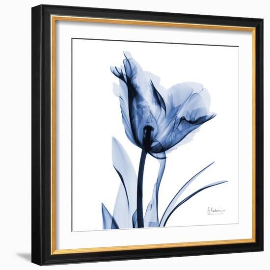 Indigo Softened Tulip-Albert Koetsier-Framed Art Print