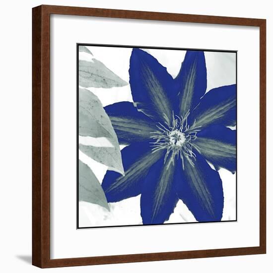 Indigo Star III-Sharon Chandler-Framed Art Print