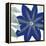 Indigo Star III-Sharon Chandler-Framed Stretched Canvas