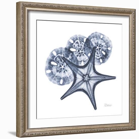 Indigo Starfish and Sand Dollar-Albert Koetsier-Framed Photo