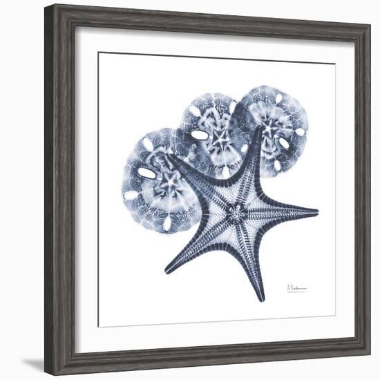 Indigo Starfish and Sand Dollar-Albert Koetsier-Framed Photo