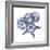 Indigo Starfish and Sand Dollar-Albert Koetsier-Framed Photo