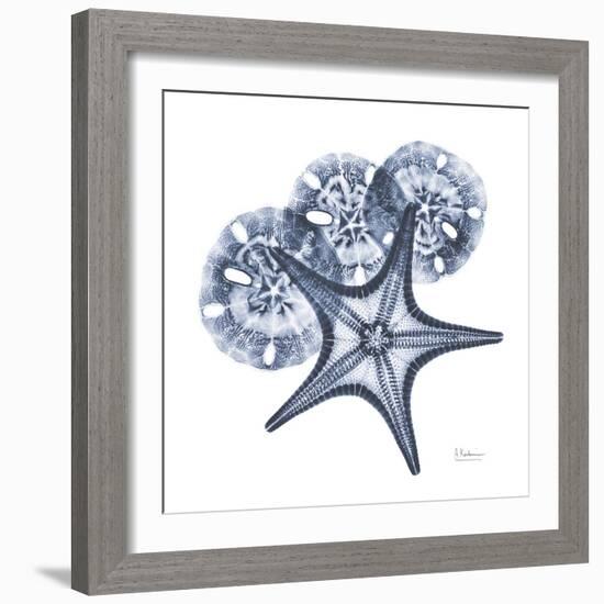 Indigo Starfish and Sand Dollar-Albert Koetsier-Framed Photo