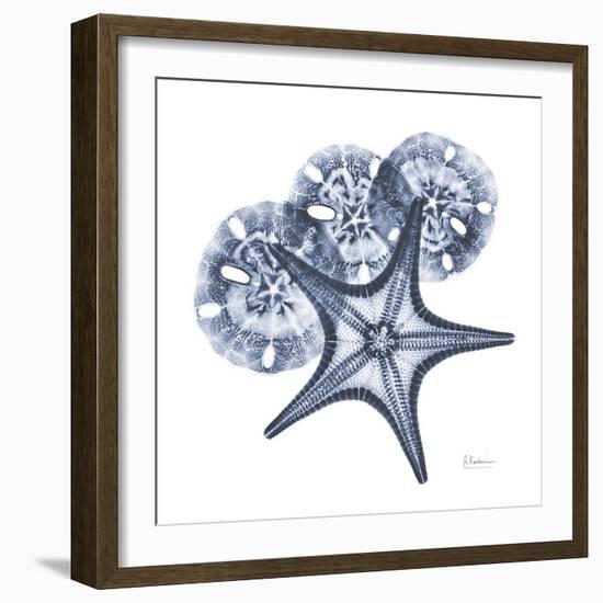 Indigo Starfish and Sand Dollar-Albert Koetsier-Framed Photo