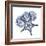 Indigo Starfish and Sand Dollar-Albert Koetsier-Framed Photo