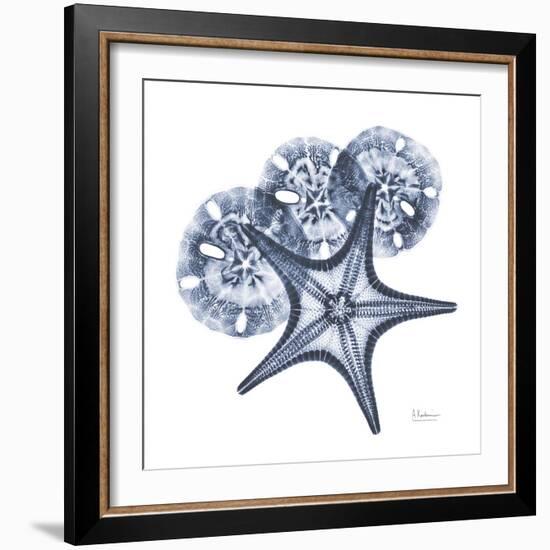 Indigo Starfish and Sand Dollar-Albert Koetsier-Framed Photo