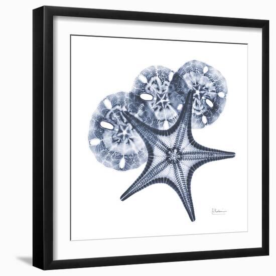 Indigo Starfish and Sand Dollar-Albert Koetsier-Framed Photo