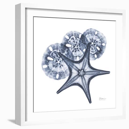 Indigo Starfish and Sand Dollar-Albert Koetsier-Framed Photo