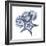 Indigo Starfish and Sand Dollar-Albert Koetsier-Framed Photo